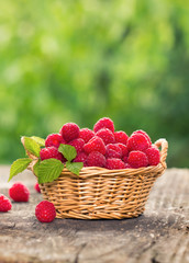 Healthy and fresh raspberries in the basket