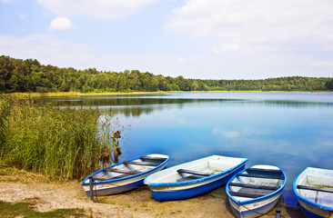 Ruderboot an einem Waldsee