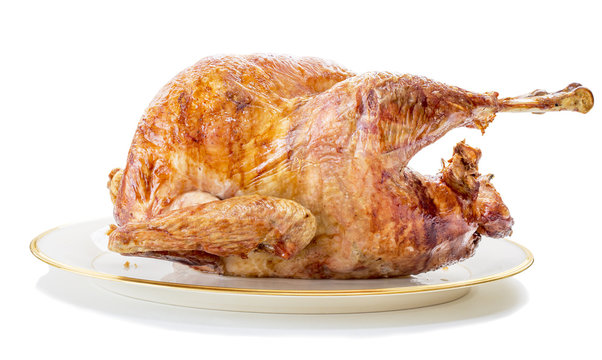 Roasted Turkey on platter