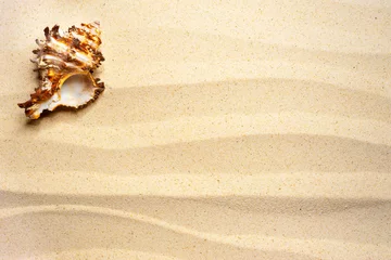 Afwasbaar Fotobehang Strand en zee Shell op een golvend zand