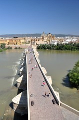 Naklejka premium Roman bridge of Córdoba