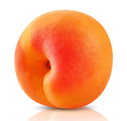 Apricot fruit