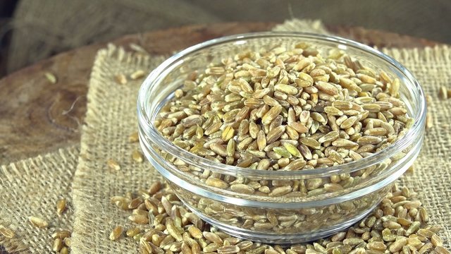 Portion of Green Spelt (loopable)