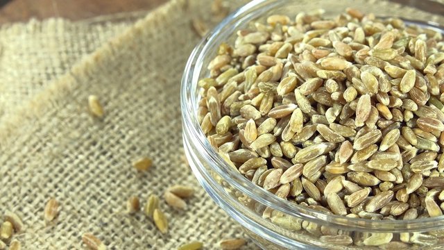 Heap of Green Spelt (not loopable 4K UHD footage)