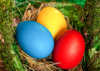 Fototapeta na wymiar Basket of colorful easter eggs