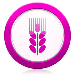 grain violet icon agriculture sign