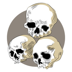 Human Skulls Icon