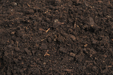 close-up of soil
