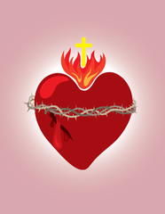 Secret heart, christian icon and symbol, art vector illustration