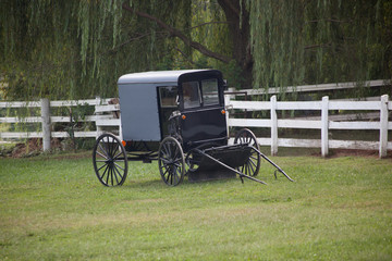Fototapeta na wymiar Black Amish buggy