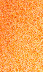 Red Lentils Background
