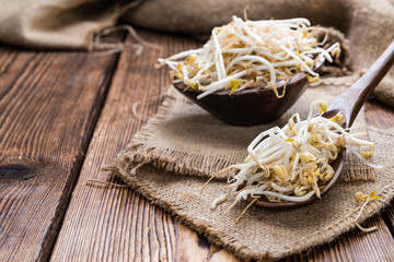 Bowl with Mungbean Sprouts