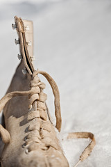 Ice Skate in the Snow