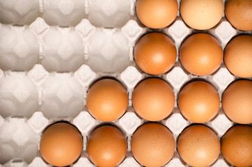 Fresh Eggs in panel