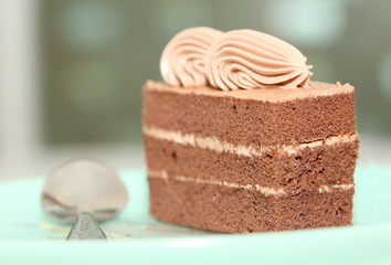 Beautiful tasty chocolate cake close up isolated on white backgr