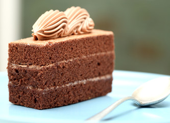 Beautiful tasty chocolate cake close up isolated on white backgr