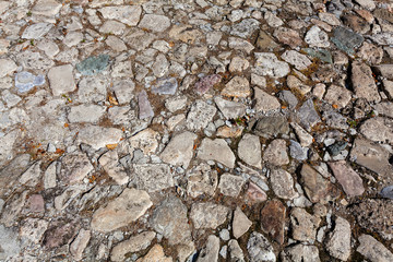 detail of cobblestone path