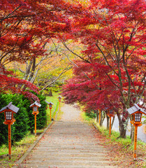 Fototapety  Schody do pagody chureito jesienią, Fujiyoshida, Japonia