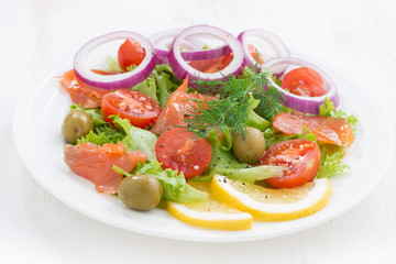 fresh salad with salted salmon, close-up