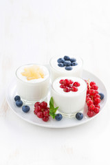 Natural yogurt with fresh berries in glass jars, vertical