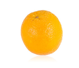 Ripe orange
