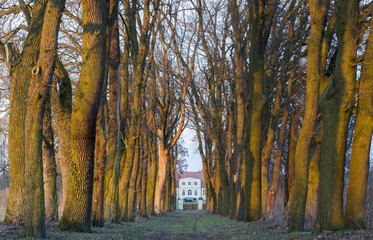 Latarnia morska "Stawa Młyny" © Mike Mareen