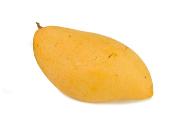 Mango on a white background