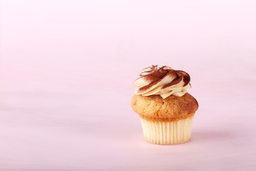 cupcake with frosting