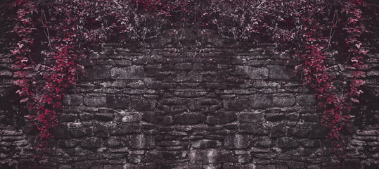 Fototapety  Stary ceglany mur z czerwonymi roślinami