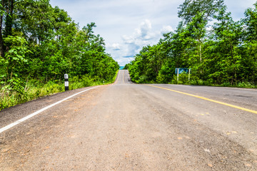 road in forest