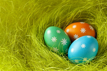 Fototapeta na wymiar Three Colored Easter eggs in green nest