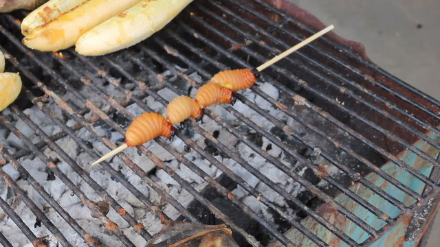 Edible palm weevil larvae (Rhynchophorus phoenicis)