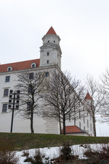 Fototapeta na wymiar Bratislava Castle, Slovakia