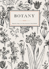 Obraz premium Botany. Vintage floral card.