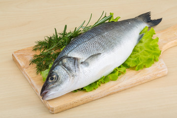 Raw seabass