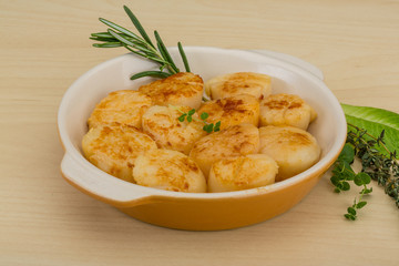 Grilled scallops