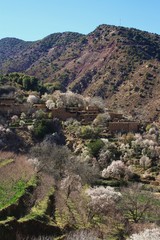 Village du Maroc 2