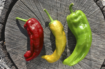 Pimientos de colores