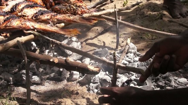 Hands corrects BBQ with fish, Kenya