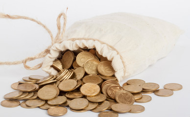 bag with coins