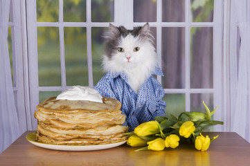 cat wearing a shirt with pancakes and tulips