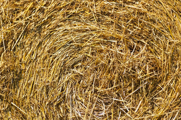 Hay stack close-up side view