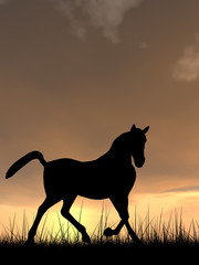 Obraz na płótnie Canvas Horse silhouette in grass at sunset