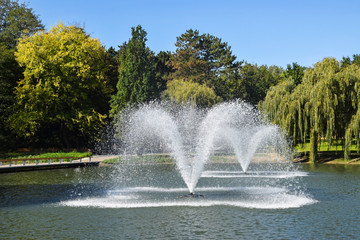 Fountains of the lake in the woods © majorosl66
