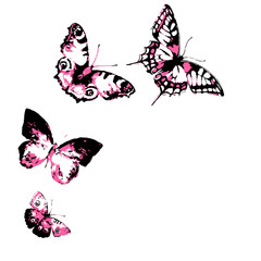 butterflies design