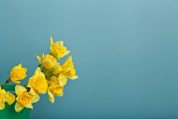Fototapete Narzisse Blumenstrauß aus Narzissen auf blauem Hintergrund
