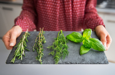 Closeup on young housewife showing fresh spices herbs 