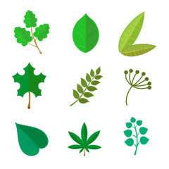 various green leaves set