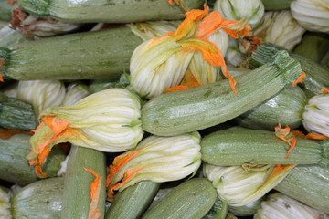 Zucchini