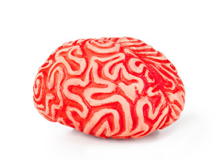 Human rubber brain